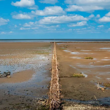Theviewb14 Nordseeperle 아파트 다게불